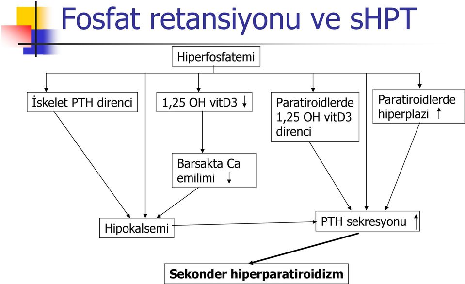 direnci Paratiroidlerde hiperplazi Barsakta Ca