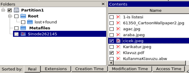 Şekil 19: R-Linux ana ekran, üst menüdeki düğmelerden Open Image deyip aldığımız imajı açtığımızda Device View alanında yeni bir disk olarak göreceğiz. Bu açılan imajdan oluşan sanal bir disktir.