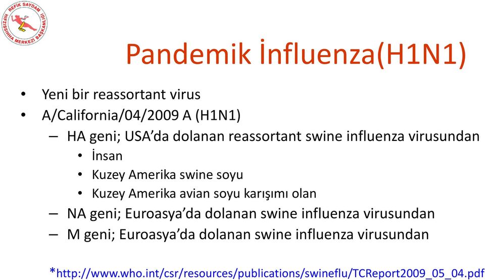 soyu karışımı olan NA geni; Euroasya da dolanan swine influenza virusundan M geni; Euroasya da