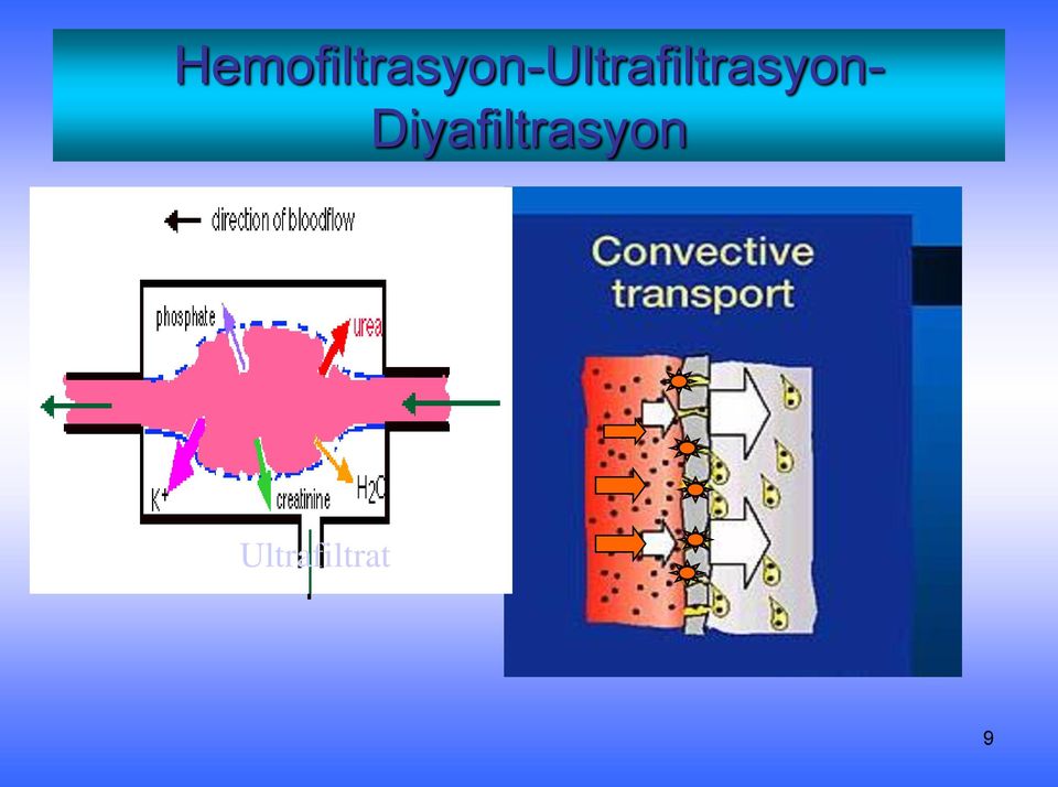 Plazmaproteinlerine ve kanın şekilli elemanlarına