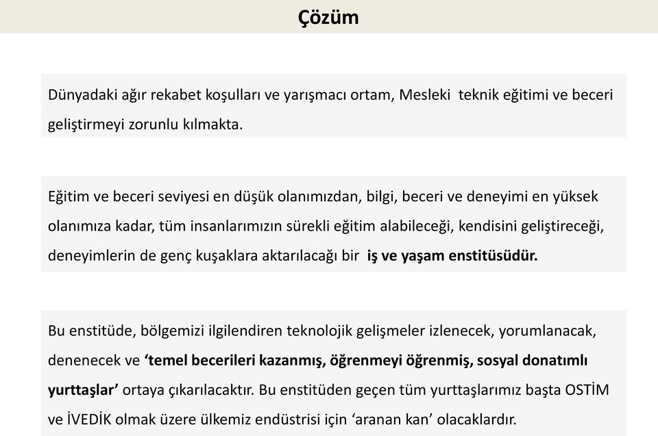 geliştireceği, deneyimlerin de genç kuşaklara aktarılacağı bir iş ve yaşam enstitüsüdür.