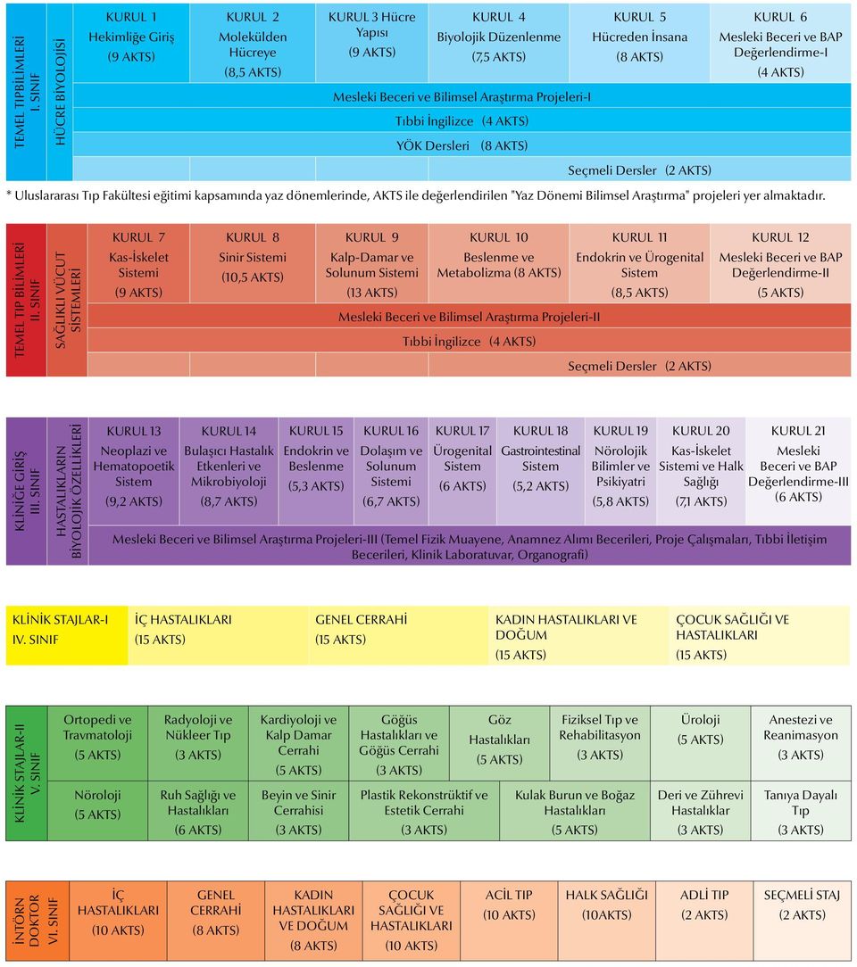 Araştırma Projeleri-I Tıbbi İngilizce (4 AKTS) YÖK Dersleri (8 AKTS) KURUL 5 Hücreden İnsana (8 AKTS) KURUL 6 Mesleki Beceri ve BAP Değerlendirme-I (4 AKTS) Seçmeli Dersler (2 AKTS) * Uluslararası