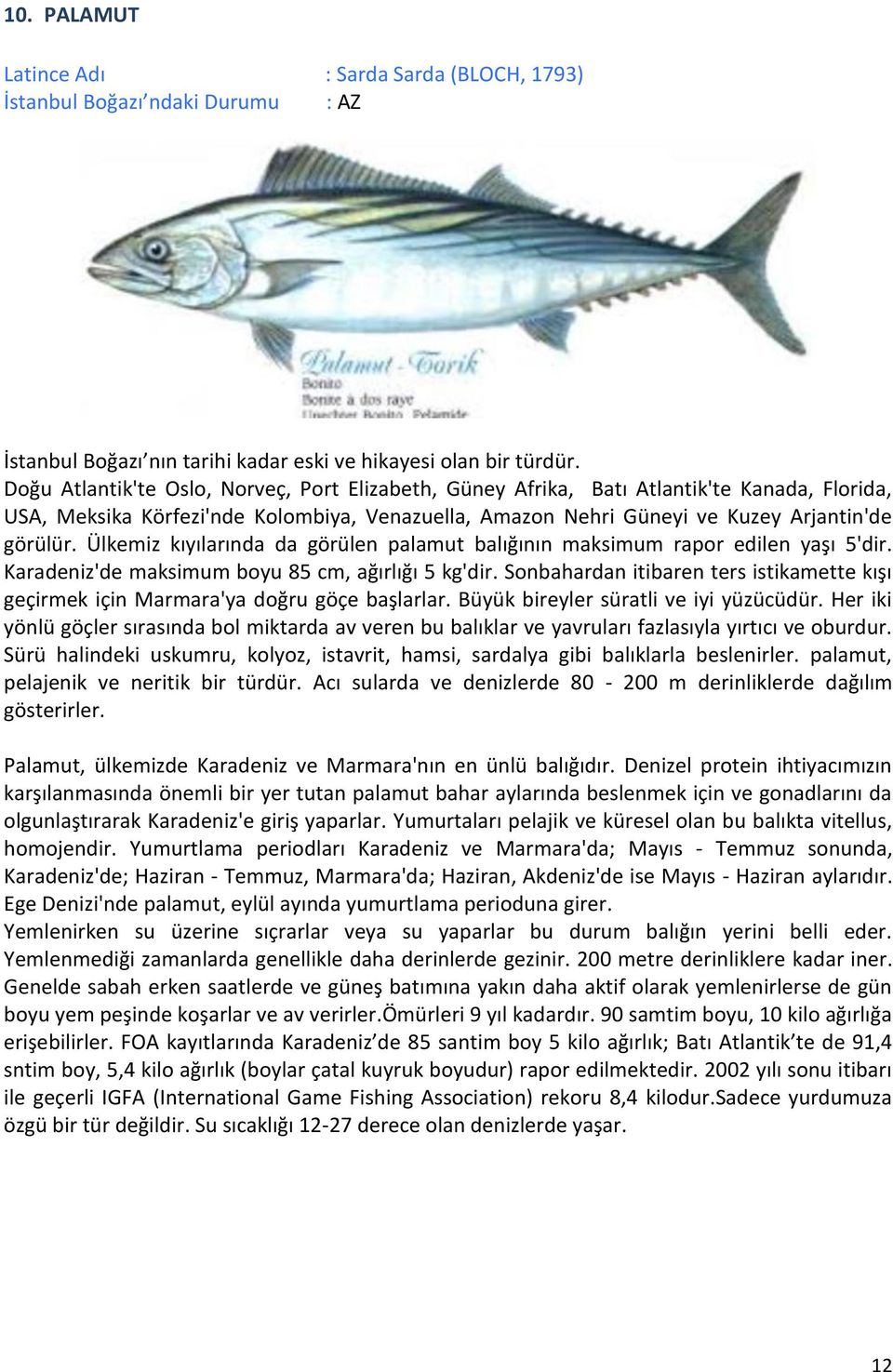 Ülkemiz kıyılarında da görülen palamut balığının maksimum rapor edilen yaşı 5'dir. Karadeniz'de maksimum boyu 85 cm, ağırlığı 5 kg'dir.