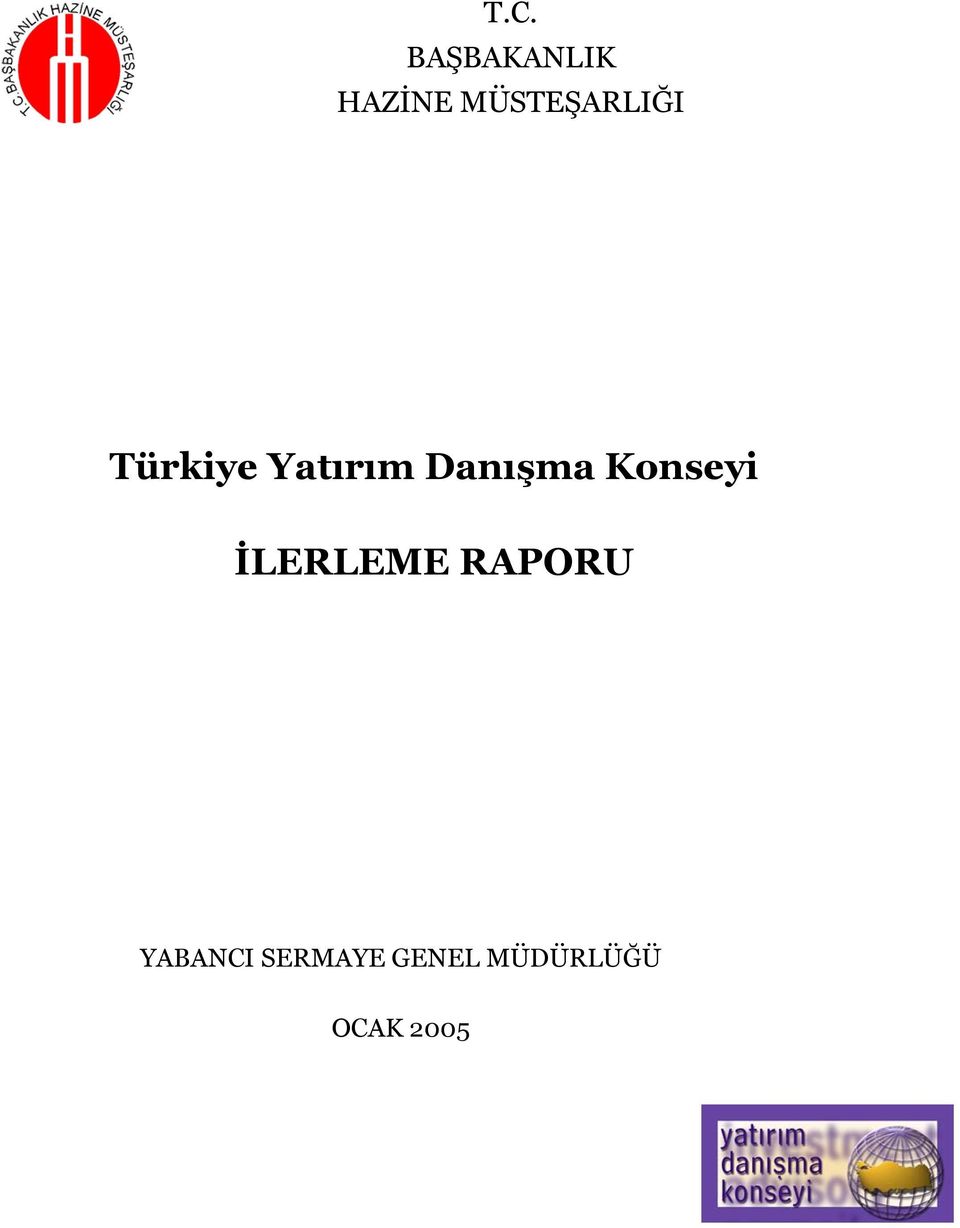 Danışma Konseyi İLERLEME RAPORU