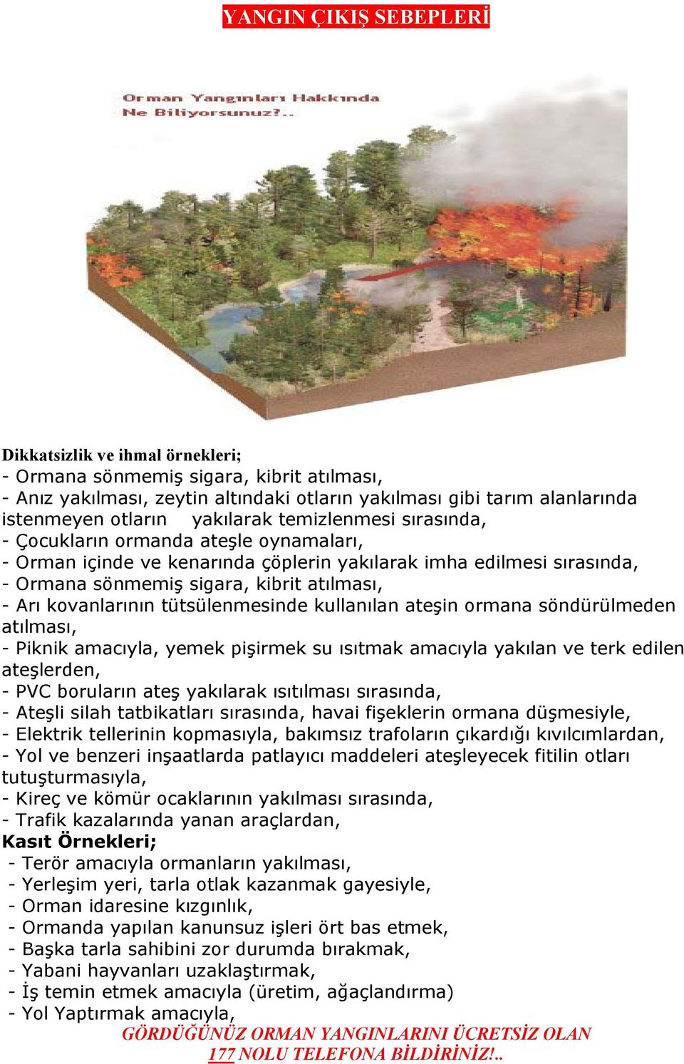 kovanlarının tütsülenmesinde kullanılan ateşin ormana söndürülmeden atılması, - Piknik amacıyla, yemek pişirmek su ısıtmak amacıyla yakılan ve terk edilen ateşlerden, - PVC boruların ateş yakılarak