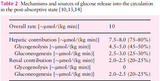 Post-absorptif (açlık) evre Gerich JE. Diabet Med.