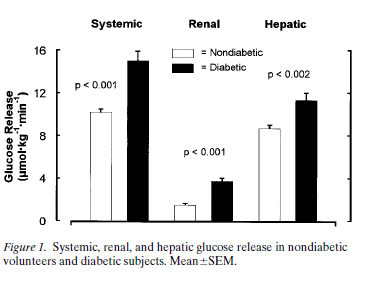 Postabsortif (açlık) dönem & Diyabetes mellitus Renal vs hepatik glukoz salınımındaki mutlak artış 2.21 vs 2.