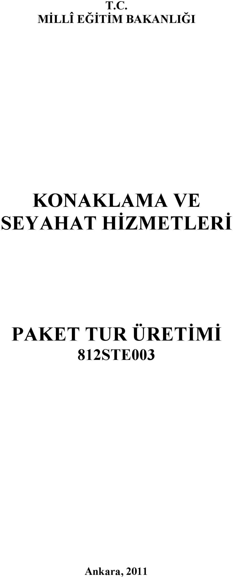 SEYAHAT HİZMETLERİ PAKET