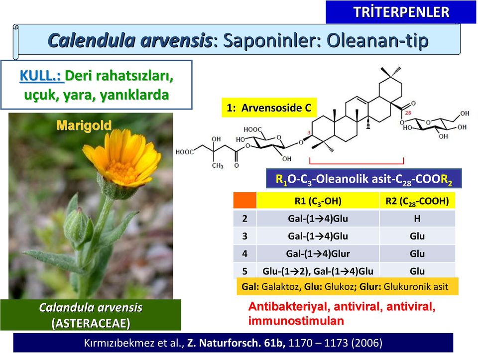 -) R2 (C 28 -C) 2 Gal-(1 4)Glu H 3 Gal-(1 4)Glu Glu 4 Gal-(1 4)Glur Glu 5 Glu-(1 2), Gal-(1 4)Glu Glu Gal: Galaktoz, Glu: