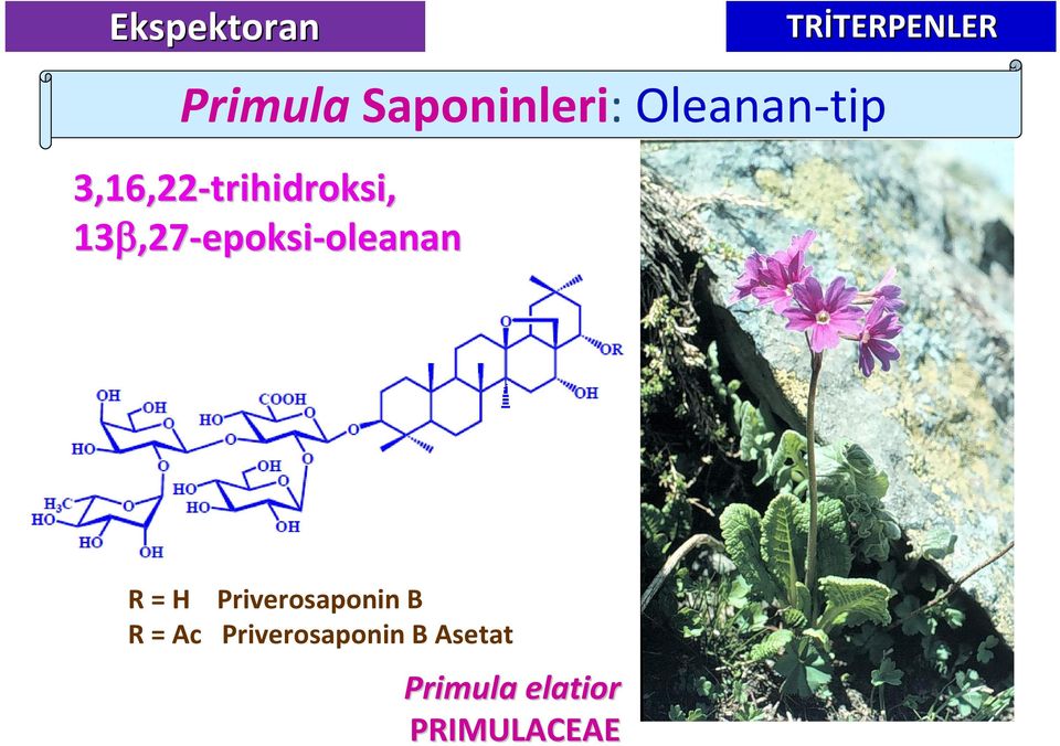 13,27,27-epoksi-oleananoleanan R = H