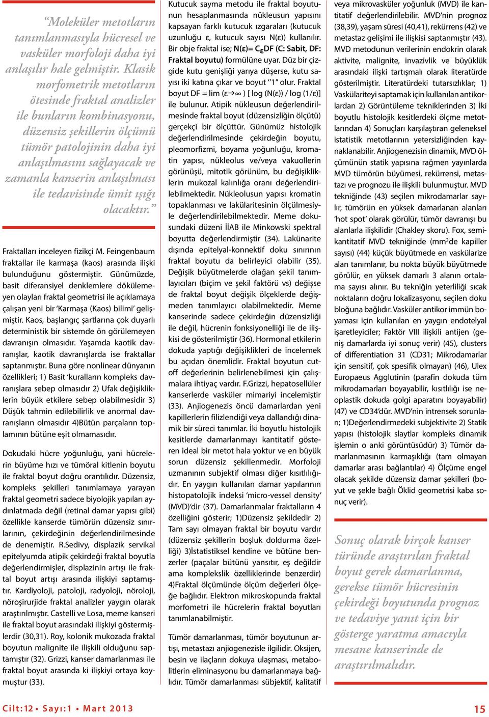 tedavisinde ümit ışığı olacaktır. Fraktalları inceleyen fizikçi M. Feingenbaum fraktallar ile karmaşa (kaos) arasında ilişki bulunduğunu göstermiştir.