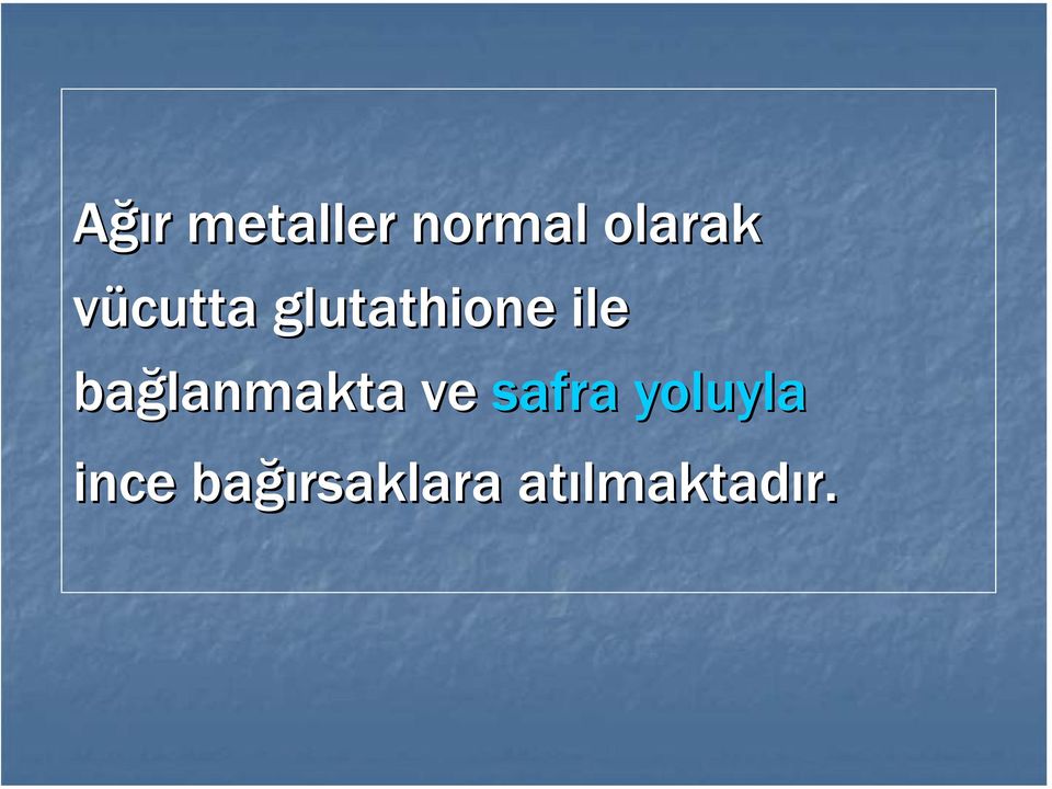 bağlanmakta ve safra yoluyla