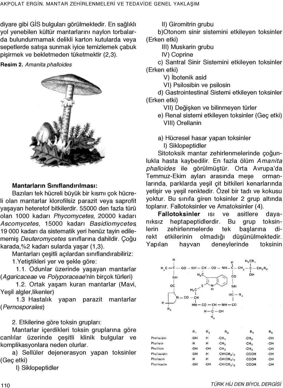 Resim 2. Amanita phalloides Mantarların Sınıflandırılması: Bazıları tek hücreli büyük bir kısmı çok hücreli olan mantarlar klorofilsiz parazit veya saprofit yaşayan heteretof bitkilerdir.