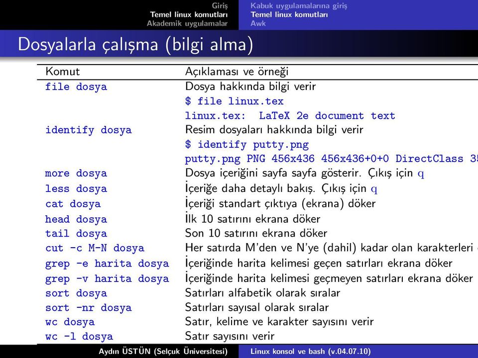 Çıkış için q less dosya İçeriğe daha detaylı bakış.