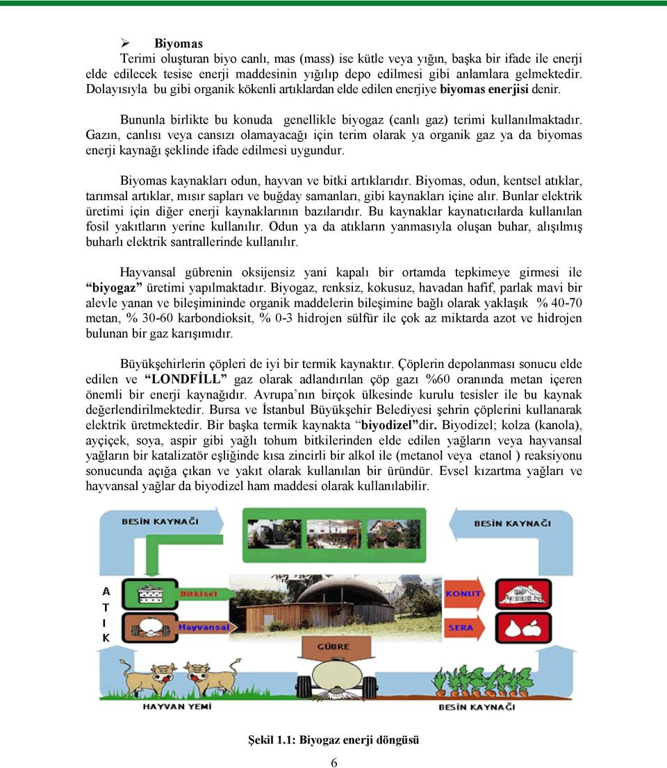 Gazın, canlısı veya cansızı olamayacağı için terim olarak ya organik gaz ya da biyomas enerji kaynağı şeklinde ifade edilmesi uygundur. Biyomas kaynakları odun, hayvan ve bitki artıklarıdır.