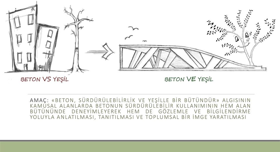 HEM ALAN BÜT ÜN ÜNDE DENEYİ MLE YERE K HEM DE GÖZLEMLE VE Bİ