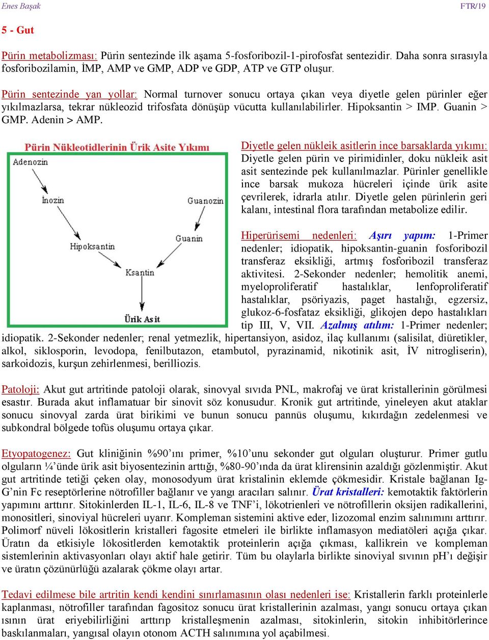 Guanin > GMP. Adenin > AMP. Diyetle gelen nükleik asitlerin ince barsaklarda yıkımı: Diyetle gelen pürin ve pirimidinler, doku nükleik asit asit sentezinde pek kullanılmazlar.