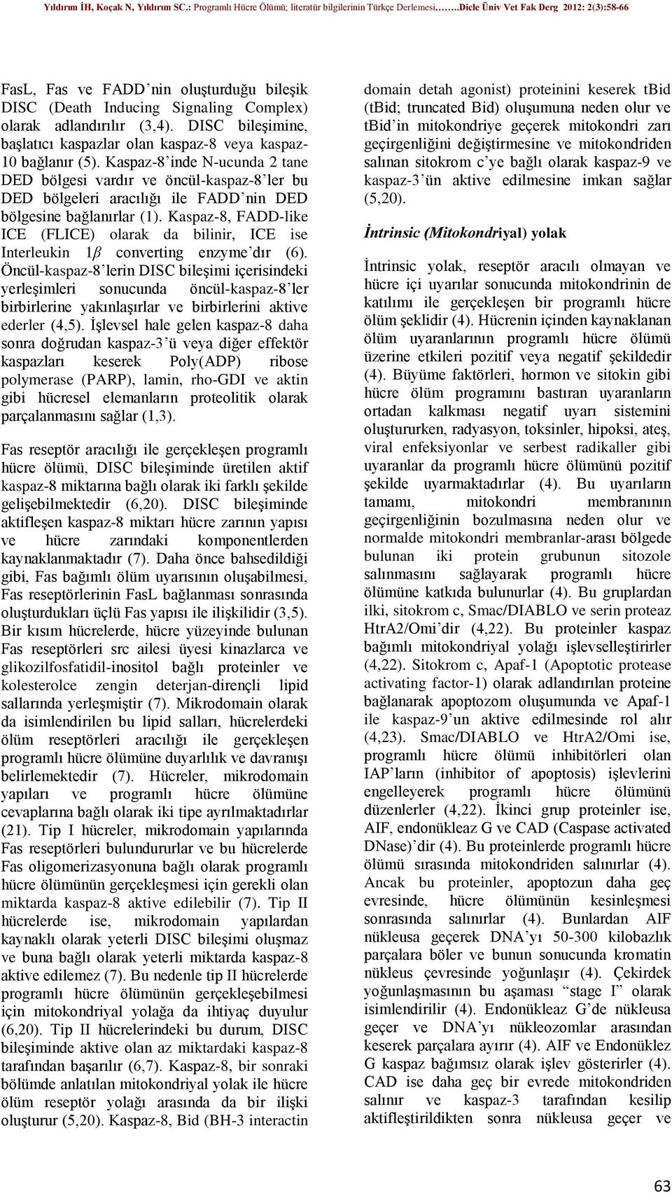 Kaspaz-8, FADD-like ICE (FLICE) olarak da bilinir, ICE ise Interleukin 1β converting enzyme dır (6).