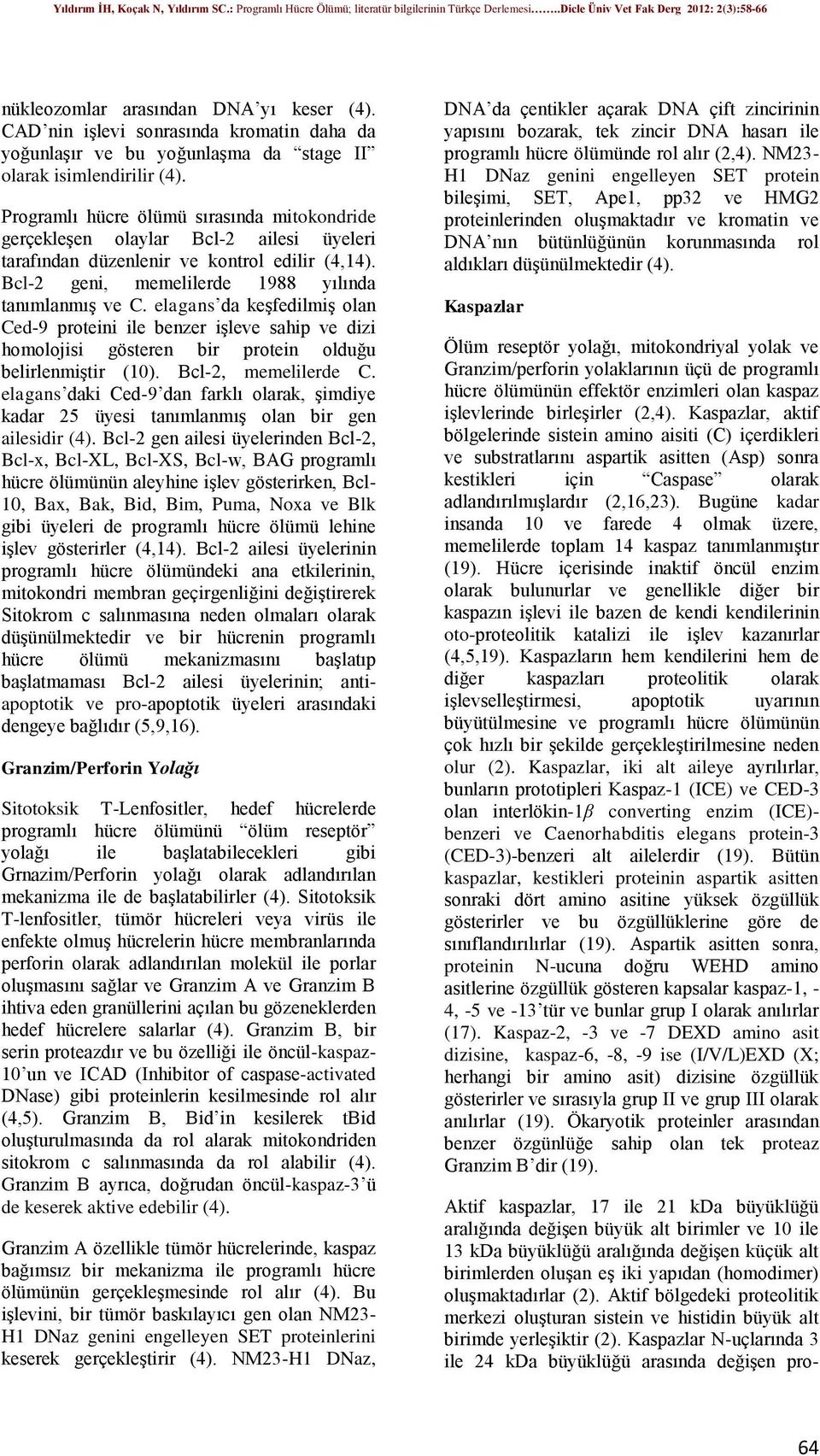 elagans da keşfedilmiş olan Ced-9 proteini ile benzer işleve sahip ve dizi homolojisi gösteren bir protein olduğu belirlenmiştir (10). Bcl-2, memelilerde C.