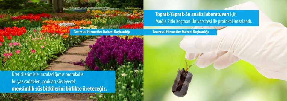 Tarımsal Hizmetler Dairesi Başkanlığı Tarımsal Hizmetler Dairesi Başkanlığı