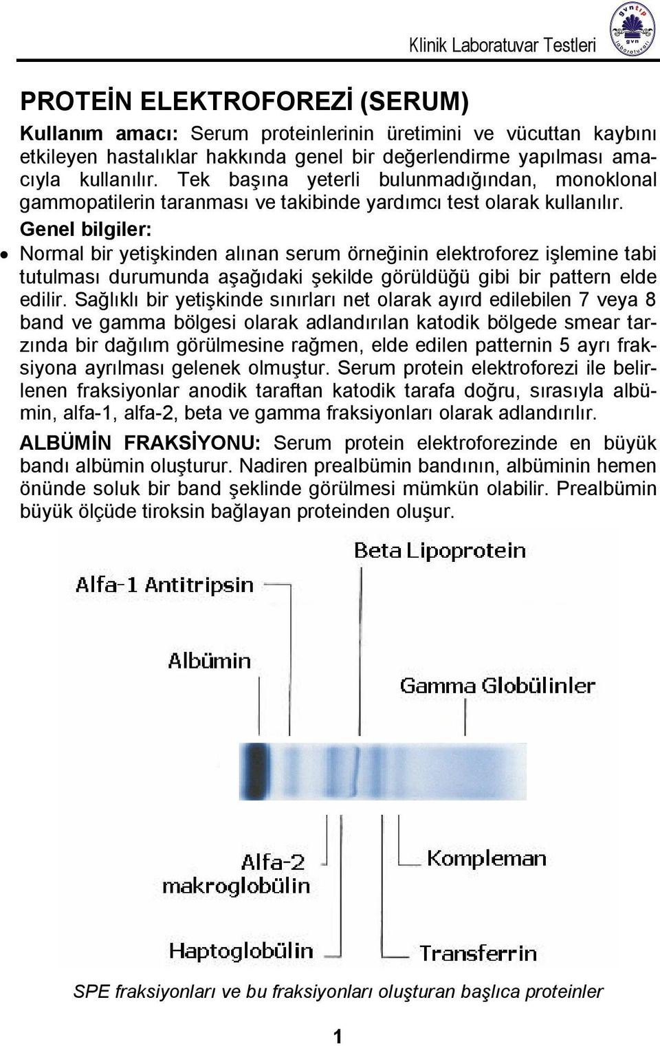 Genel bilgiler: ormal bir yetişkinden alınan serum örneğinin elektroforez işlemine tabi tutulması durumunda aşağıdaki şekilde görüldüğü gibi bir pattern elde edilir.