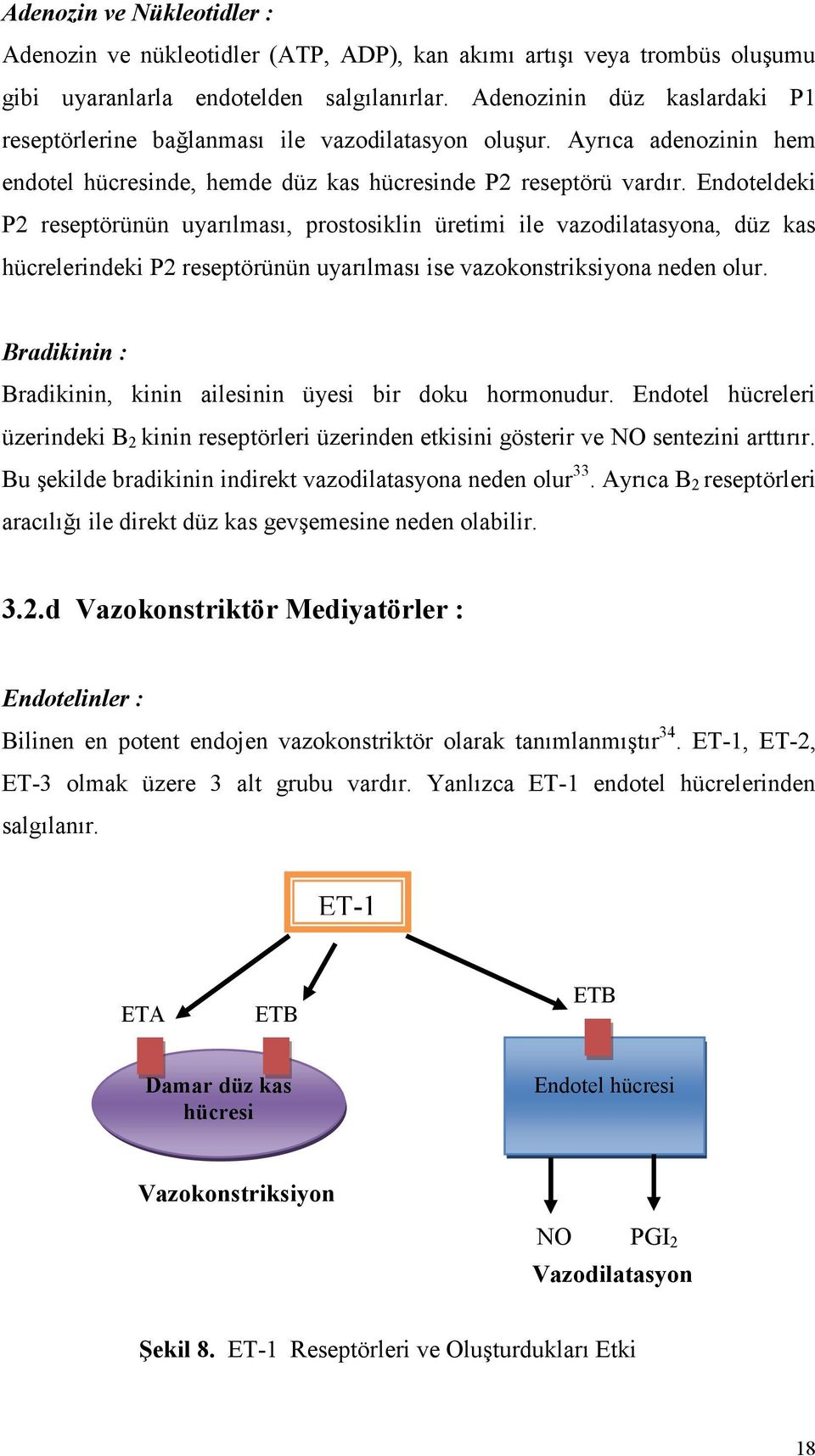 Endoteldeki P2 reseptörünün uyarılması, prostosiklin üretimi ile vazodilatasyona, düz kas hücrelerindeki P2 reseptörünün uyarılması ise vazokonstriksiyona neden olur.