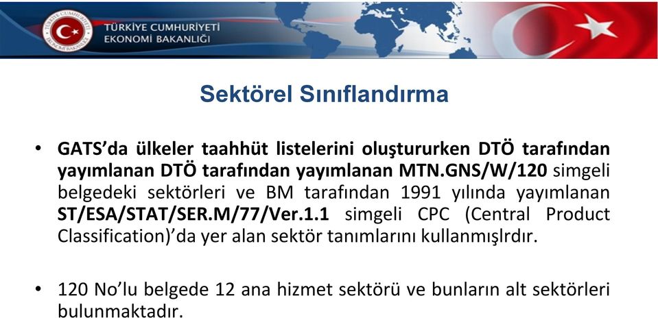 GNS/W/120 simgeli belgedeki sektörleri ve BM tarafından 1991 yılında yayımlanan ST/ESA/STAT/SER.