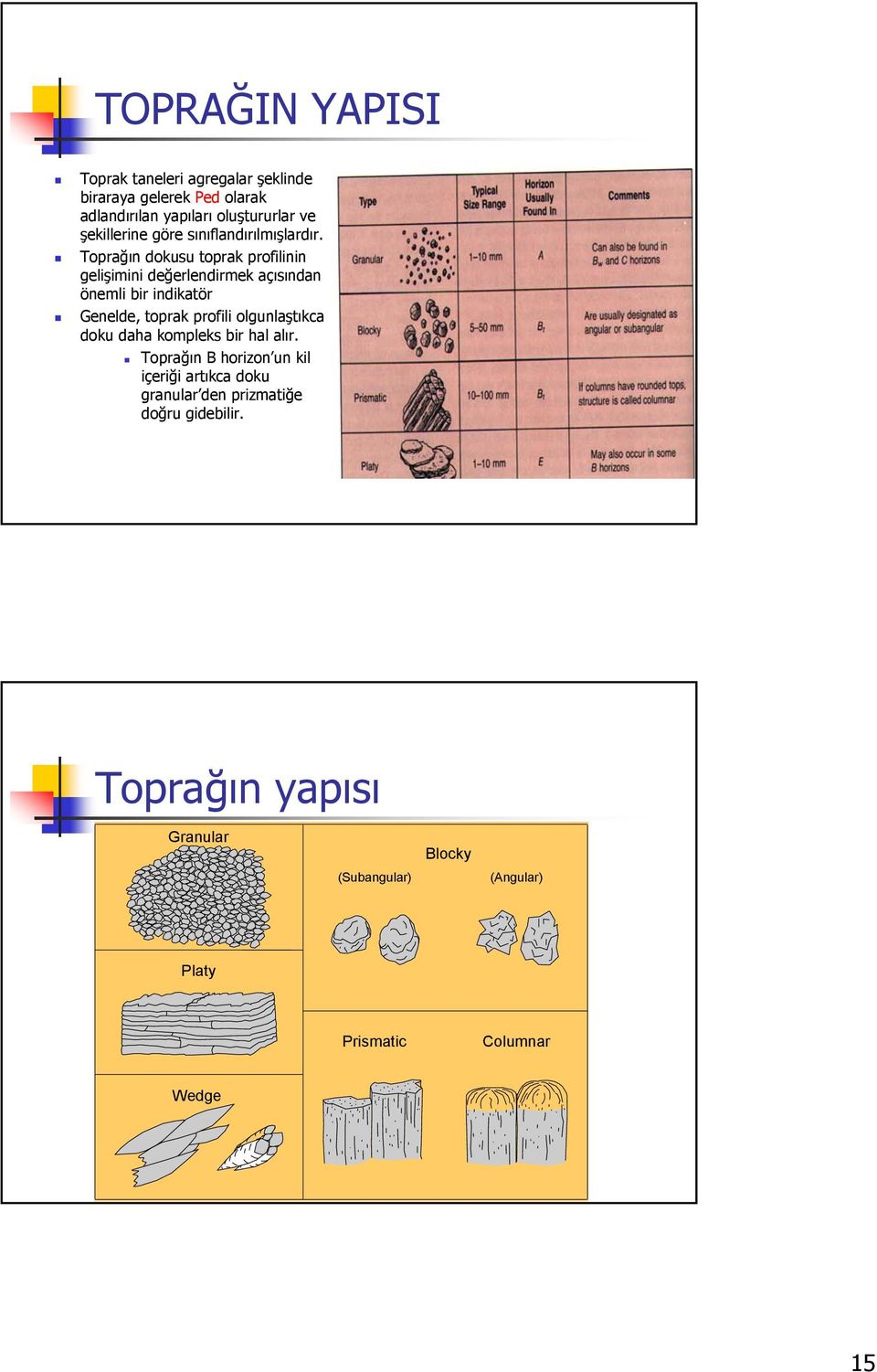 Toprağın dokusu toprak profilinin gelişimini değerlendirmek açısından önemli bir indikatör Genelde, toprak profili