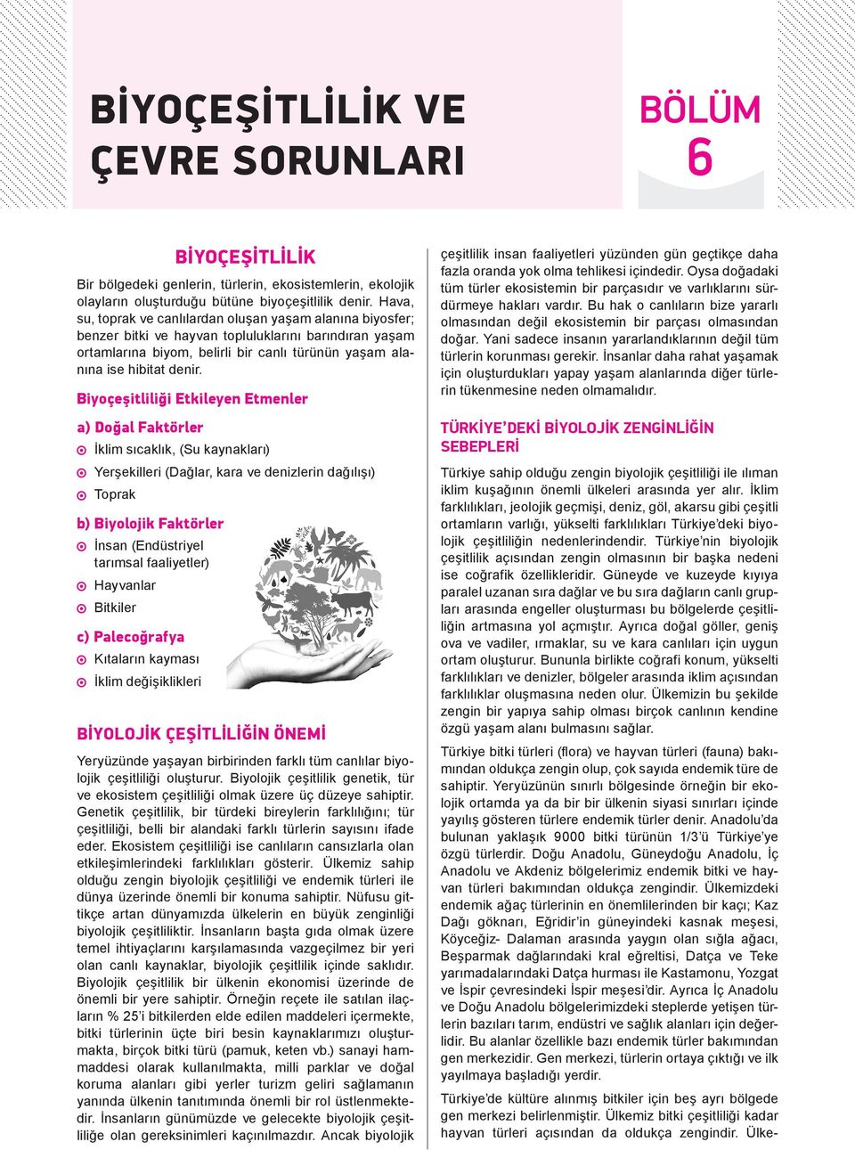 iyoçeşitliliği Etkileyen Etmenler a) Doğal Faktörler İklim sıcaklık, (Su kaynakları) Yerşekilleri (Dağlar, kara ve denizlerin dağılışı) Toprak b) iyolojik Faktörler İnsan (Endüstriyel tarımsal