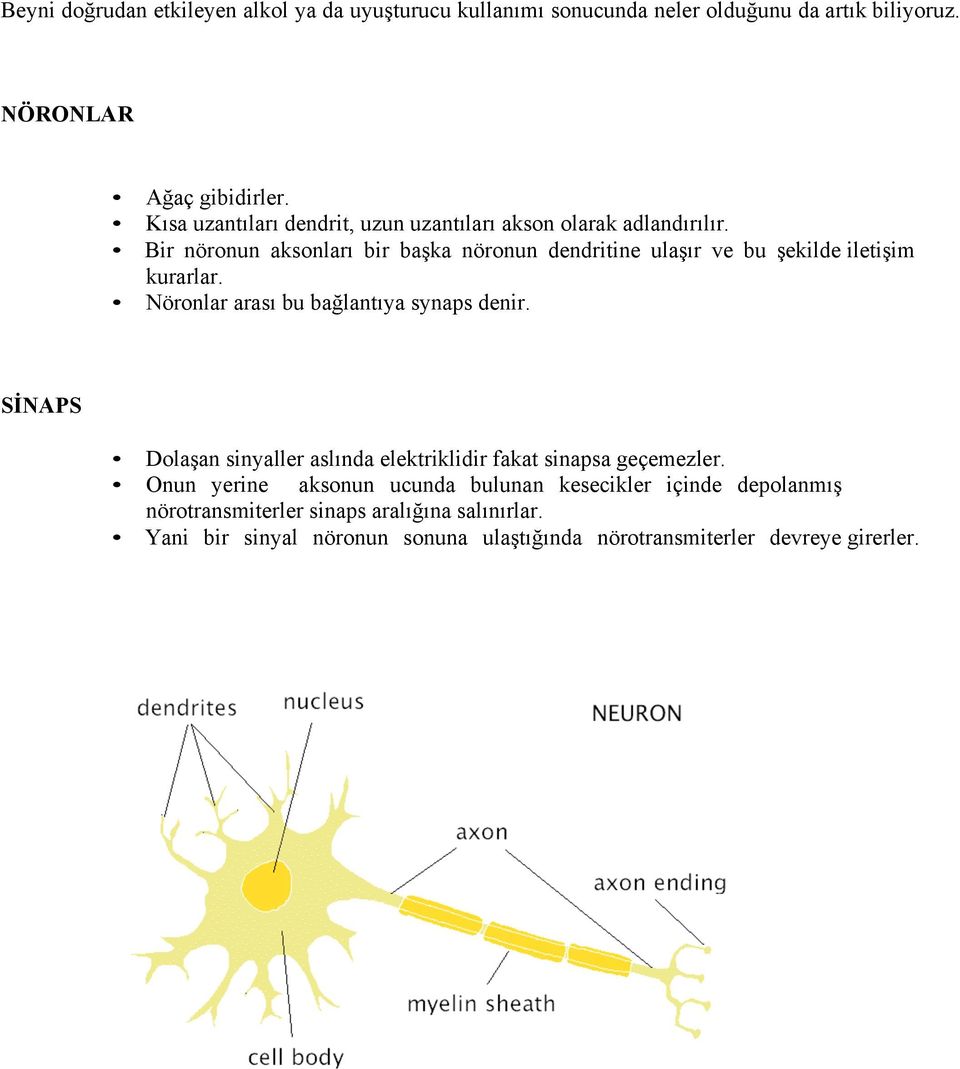 Bir nöronun aksonları bir başka nöronun dendritine ulaşır ve bu şekilde iletişim kurarlar. Nöronlar arası bu bağlantıya synaps denir.