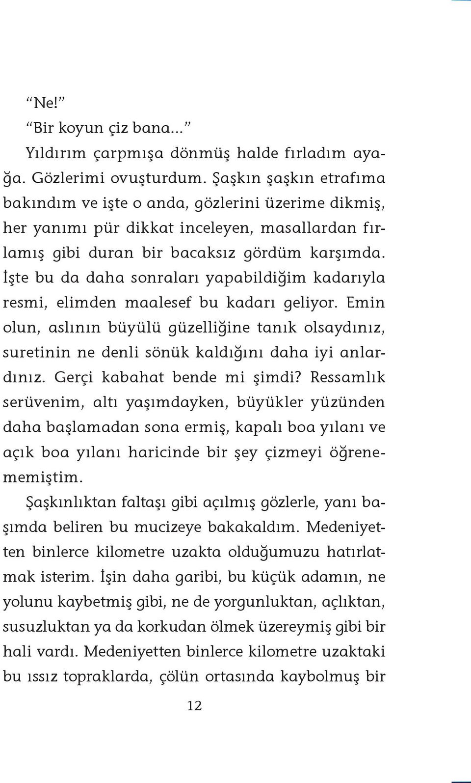 İşte bu da daha sonraları yapabildiğim kadarıyla resmi, elimden maalesef bu kadarı geliyor.