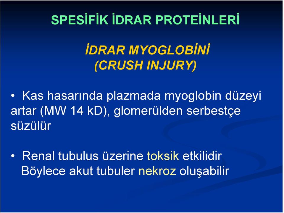 (MW 14 kd), glomerülden serbestçe süzülür Renal tubulus