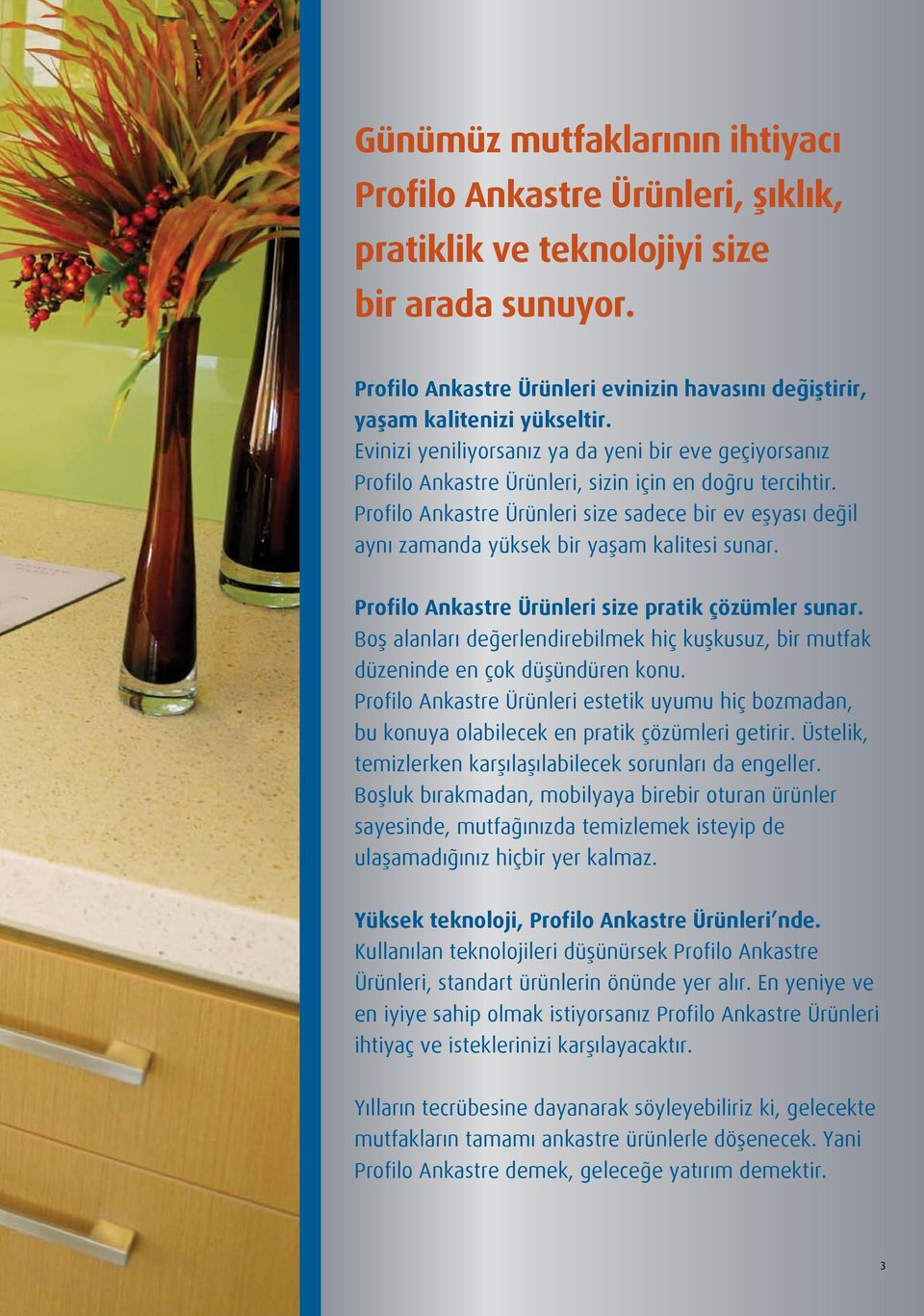 Profilo Ankastre Ürünleri size sadece bir ev eşyası değil aynı zamanda yüksek bir yaşam kalitesi sunar. Profilo Ankastre Ürünleri size pratik çözümler sunar.