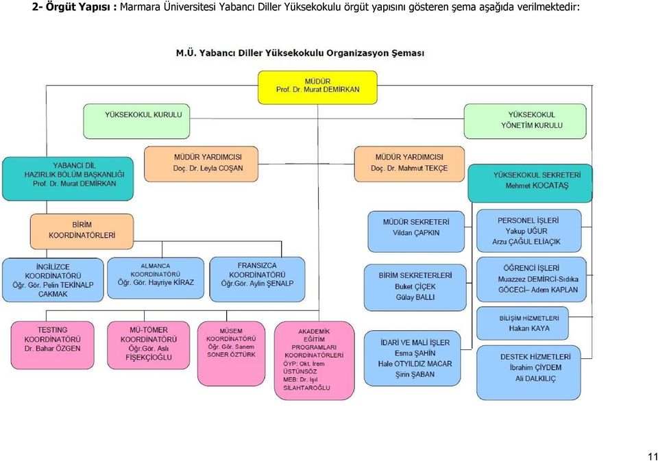 Yüksekokulu örgüt yapısını