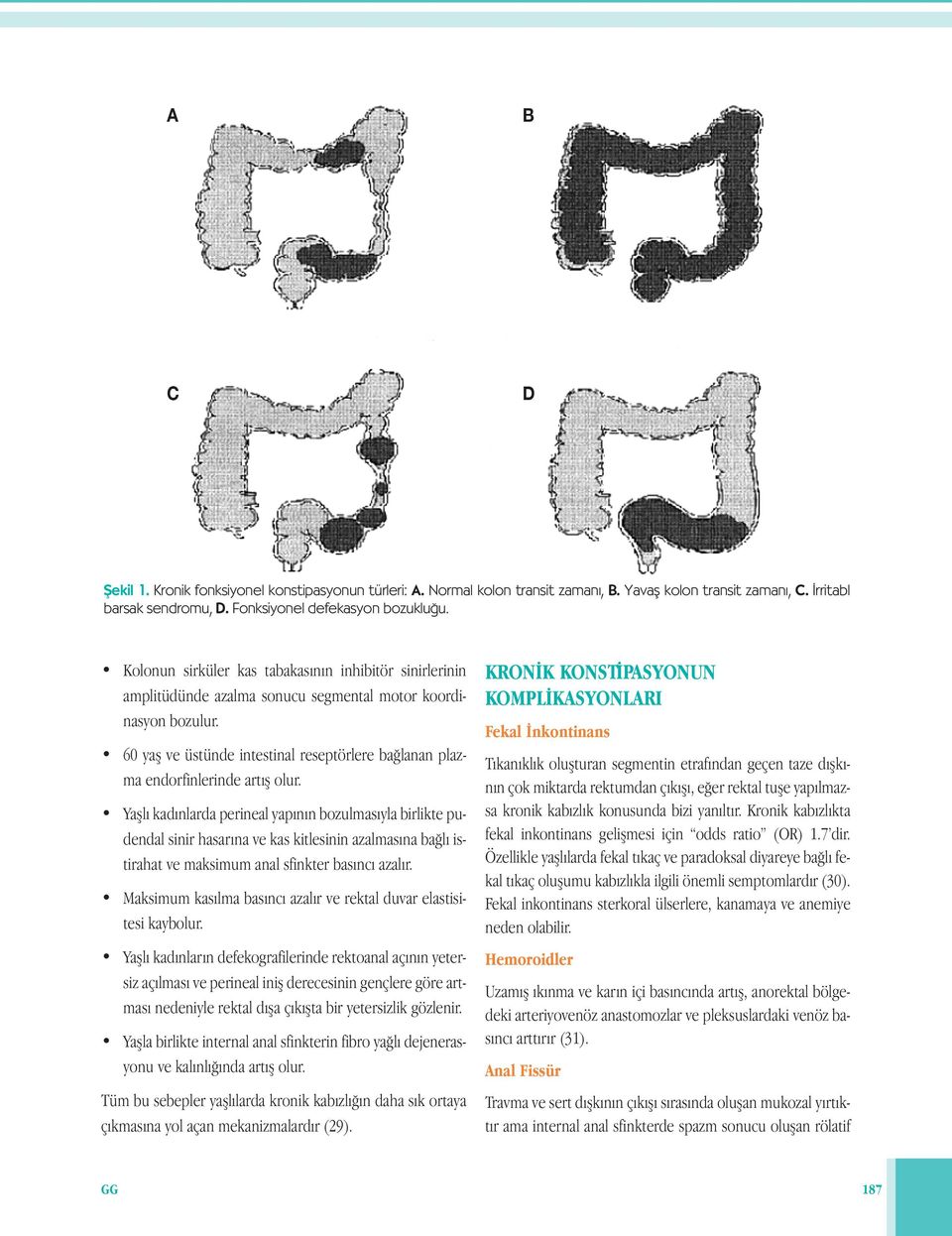 60 yaş ve üstünde intestinal reseptörlere bağlanan plazma endorfinlerinde artış olur.