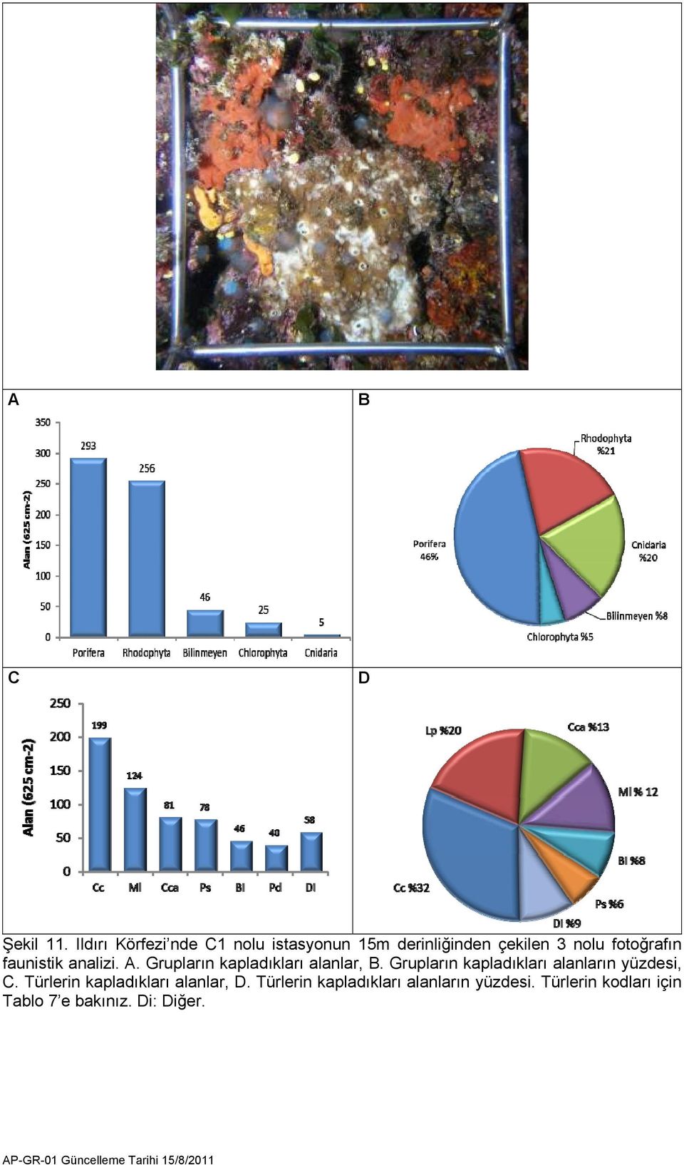 faunistik analizi. A. Grupların kapladıkları alanlar, B.