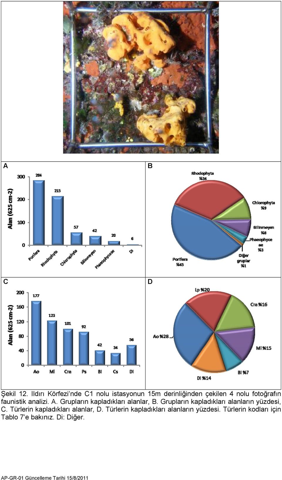 faunistik analizi. A. Grupların kapladıkları alanlar, B.