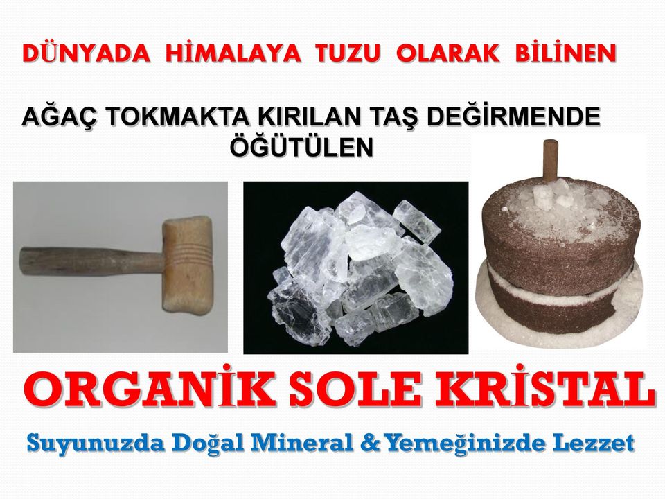 ÖĞÜTÜLEN ORGANİK SOLE KRİSTAL