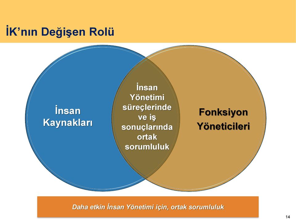 ortak sorumluluk Fonksiyon Yöneticileri