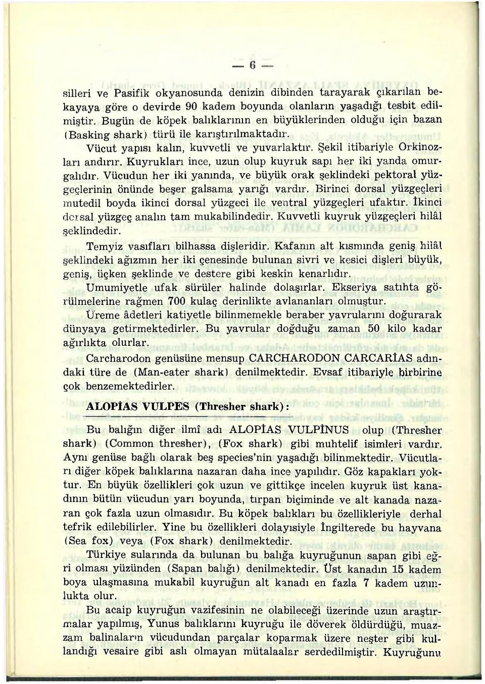 Kuyrukları ince, uzun olup kuyruk sapı her iki yanda omurgalıdır. Vücudun her iki yanında, ve büyük orak şeklindeki pektoral yüzgeçlerinin önünde beşer galsama yarığı vardır.