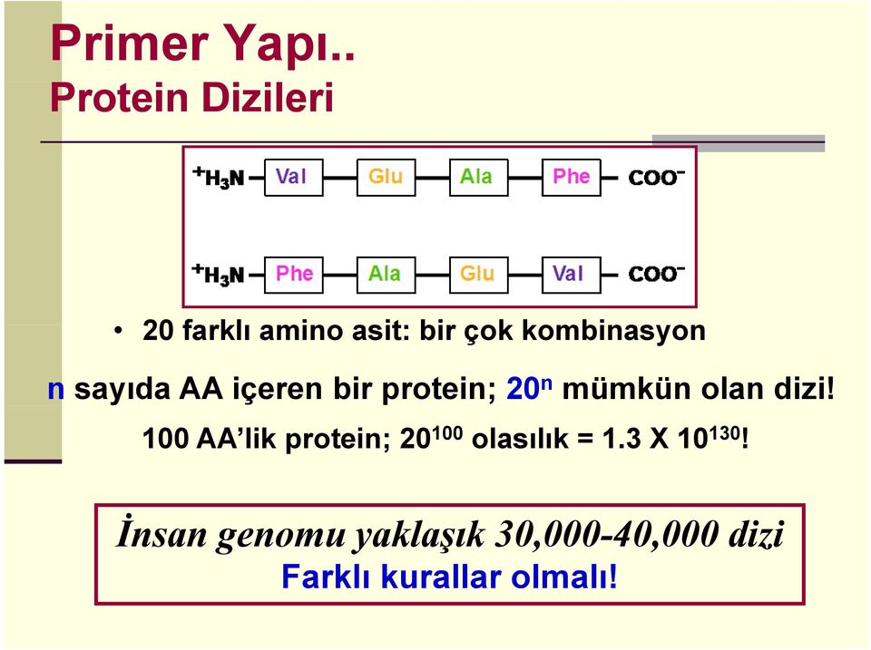 kombinasyonon n sayıda AA içeren bir protein; 20 n mümkün