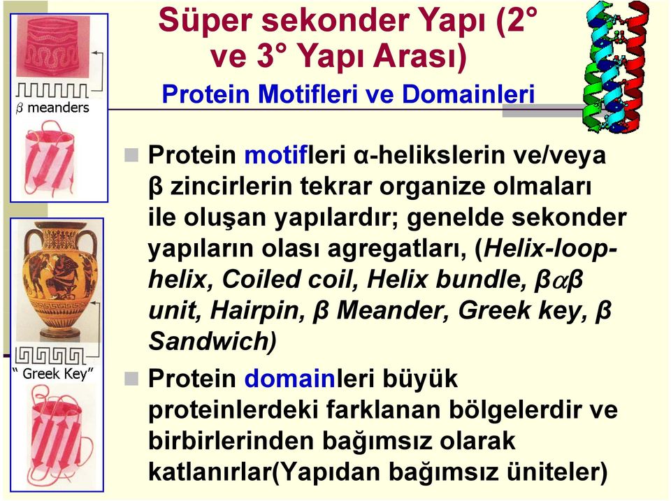 (Helix-loophelix, Coiled coil, Helix bundle, βαβ unit, Hairpin, β Meander, Greek key, β Sandwich) Protein