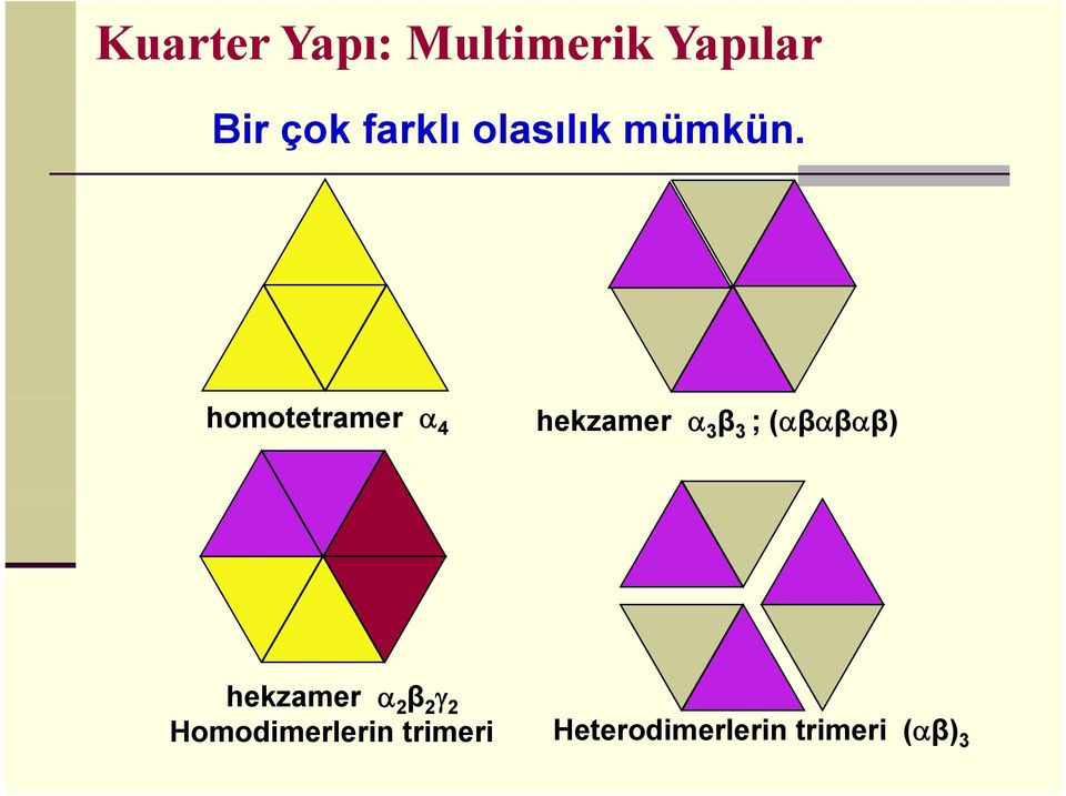 homotetramer α 4 hekzamer α 3 β 3 ; (αβαβαβ)