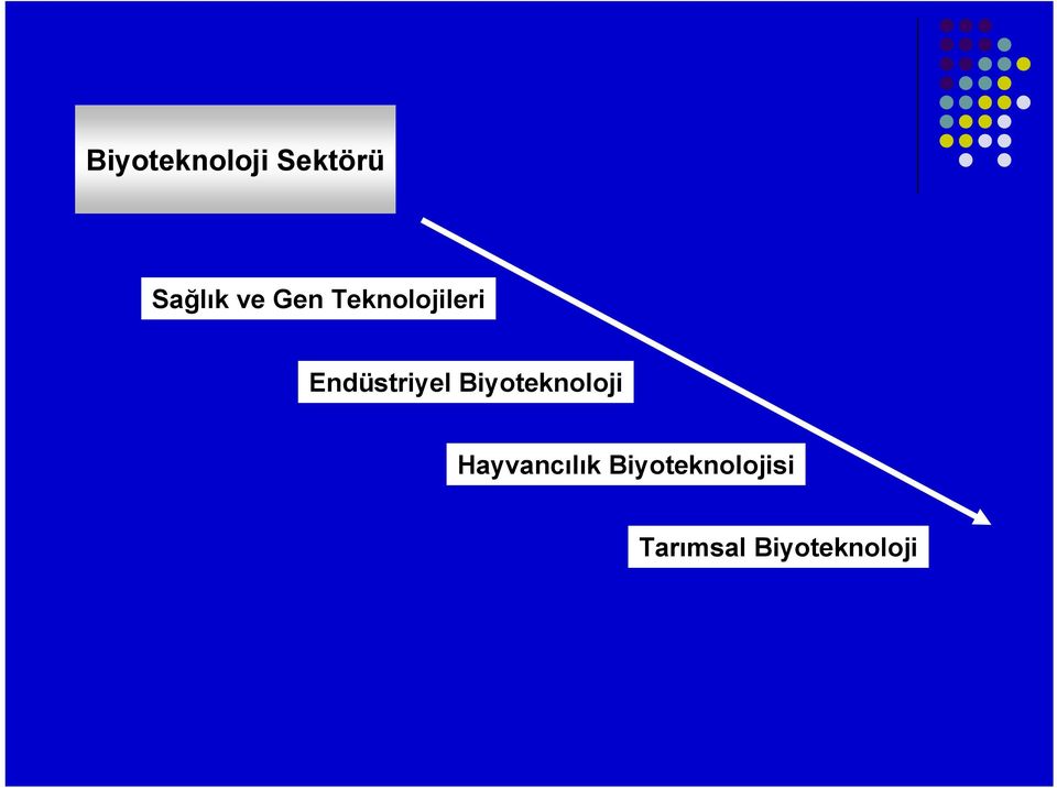 Biyoteknoloji Hayvancılık