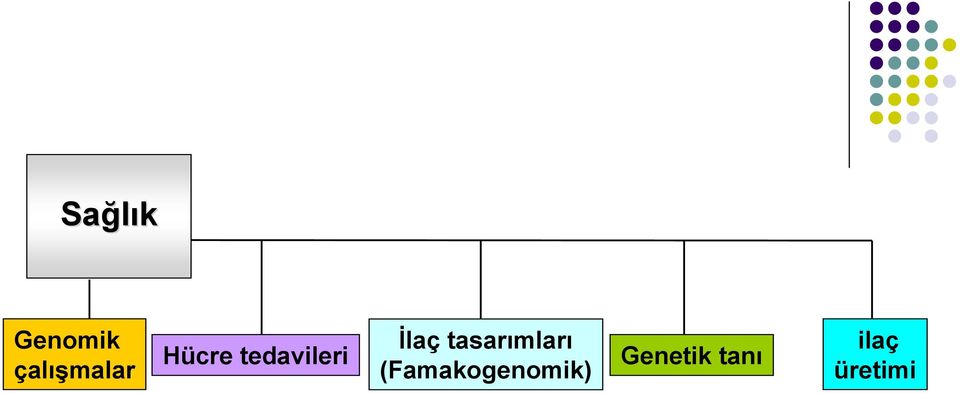 tasarımları