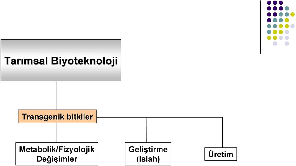 Metabolik/Fizyolojik