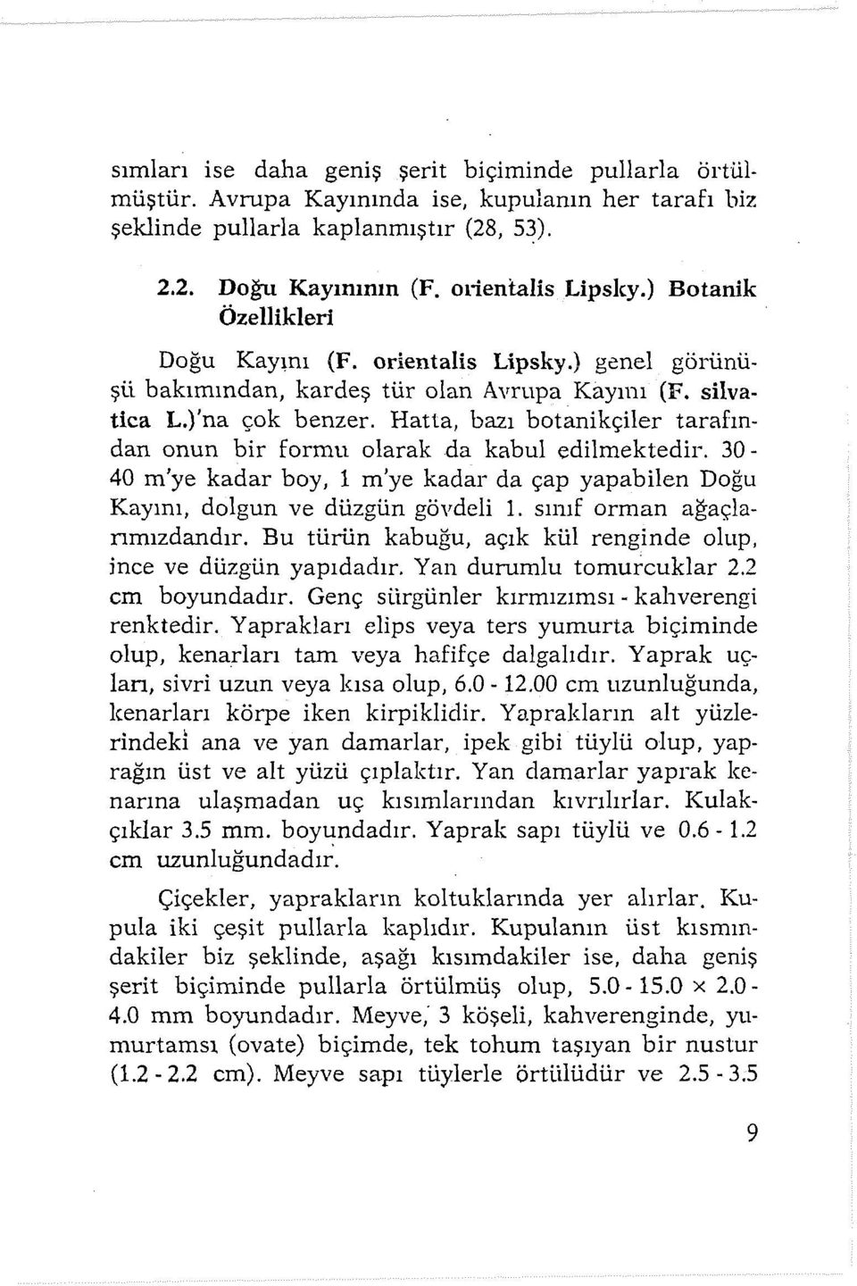 Hatta, bazı botanikçiler tarafından onun bir formu olarak da kabul edilmektedir. 30-40 m'ye kadar boy, 1 m'ye kadar da çap yapabilen Doğu Kayını, dolgun ve düzgün gövdeli 1.