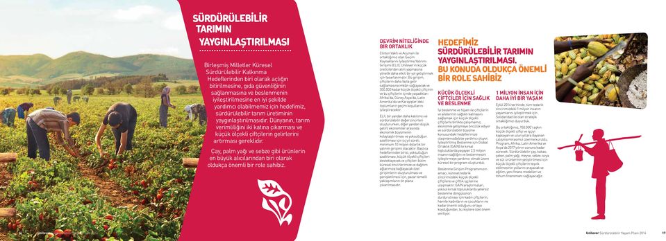 Dünyanın, tarım verimliliğini iki katına çıkarması ve küçük ölçekli çiftçilerin gelirlerini artırması gereklidir.