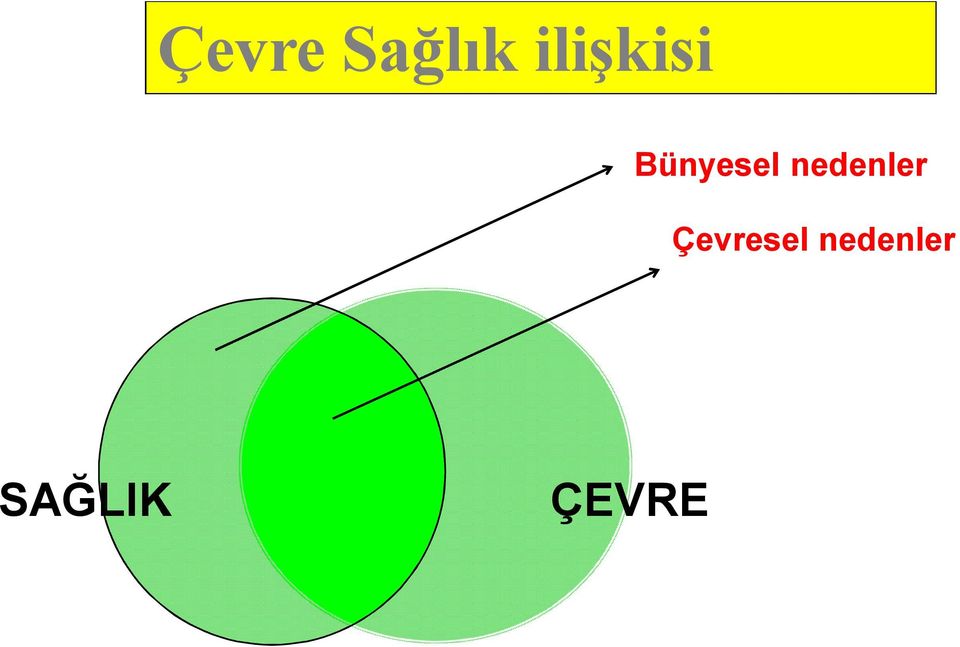 nedenler Çevresel