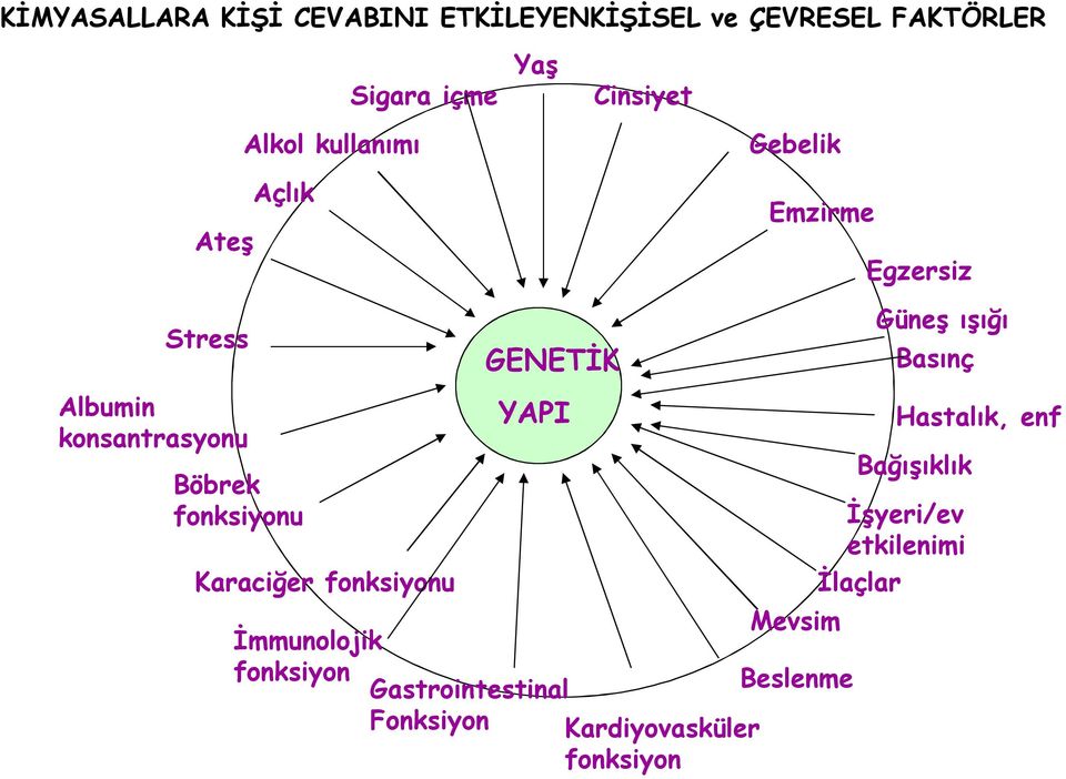 Karaciğer fonksiyonu GENETİK YAPI Mevsim İmmunolojik fonksiyon Gastrointestinal Beslenme